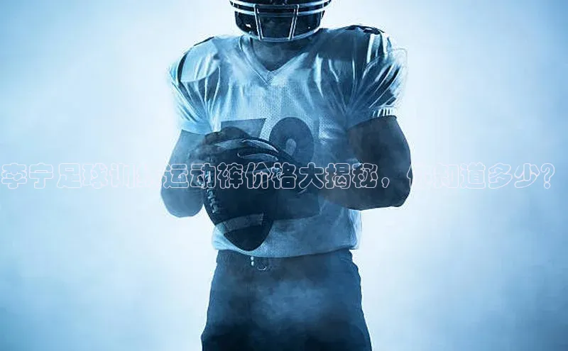 谈球吧官方网站华扬联众李宁足球训练运动裤价格大揭秘，你知道多少？