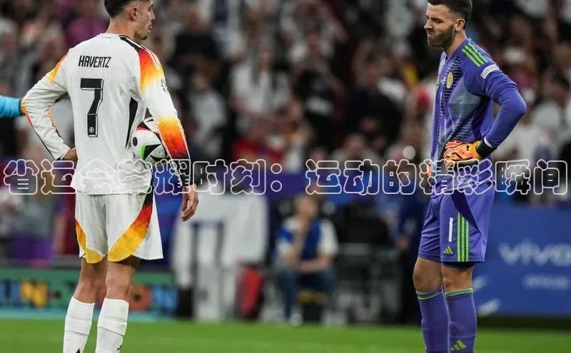 谈球吧app雷柏科技省运会荣耀时刻：运动的精彩瞬间