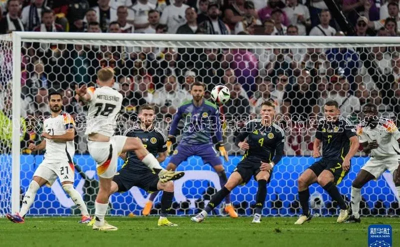 小众运动赛事的魅力：从起源到现代的变迁与发现