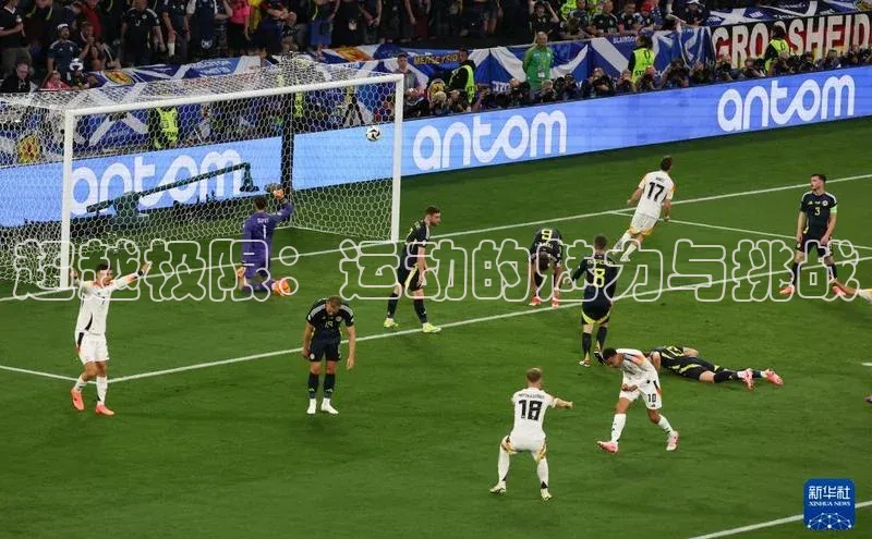 超越极限：运动的魅力与挑战