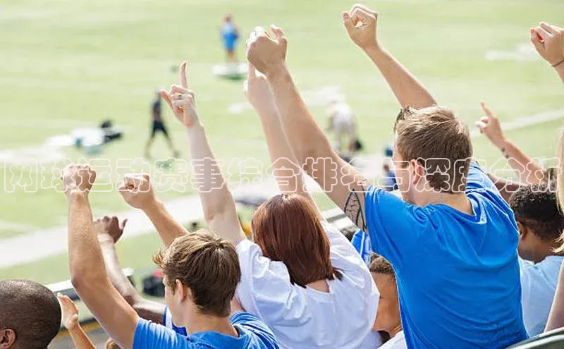 网球运动赛事综合排名与深度分析