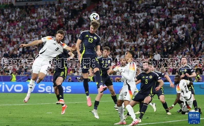 淳平运动赛事直播：现场体验的极致盛宴