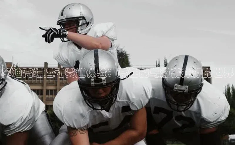 奥迪高端运动赛道体验：高性能与激情并存的世界