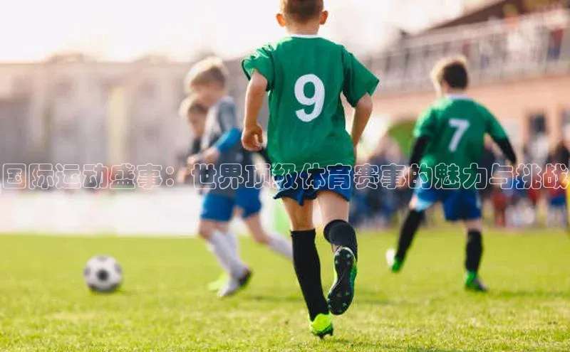 国际运动盛事：世界顶级体育赛事的魅力与挑战