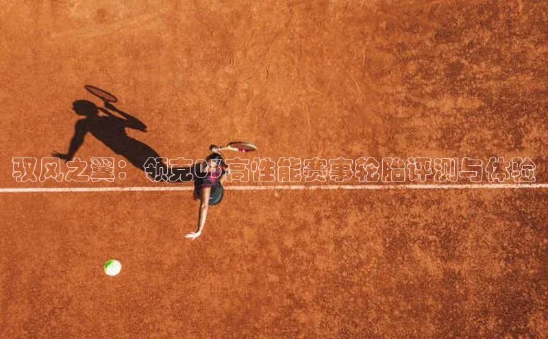 驭风之翼：领克03高性能赛事轮胎评测与体验