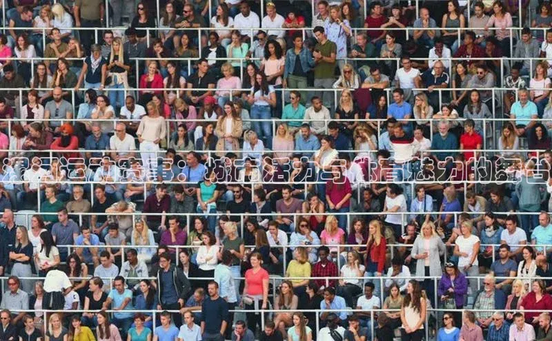 漯河运动赛事：城市活力与体育魅力的舞台