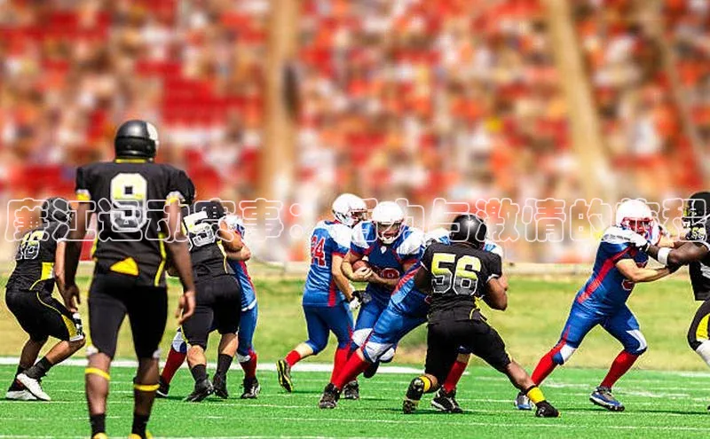 廉江运动赛事：活力与激情的旅程