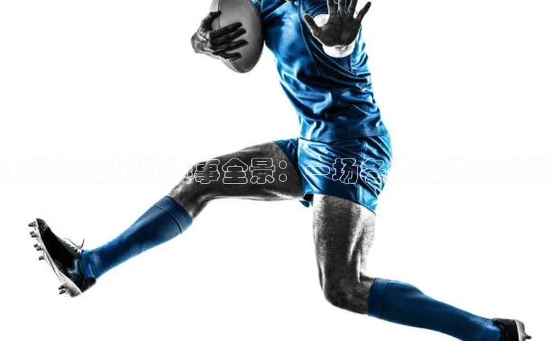 中国冰雪运动赛事全景：一场冬季激情的盛宴