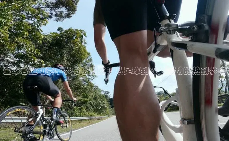 全球各运动赛事参与者概览：从足球到极限运动的热烈参与