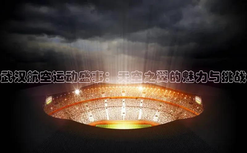 武汉航空运动盛事：天空之翼的魅力与挑战