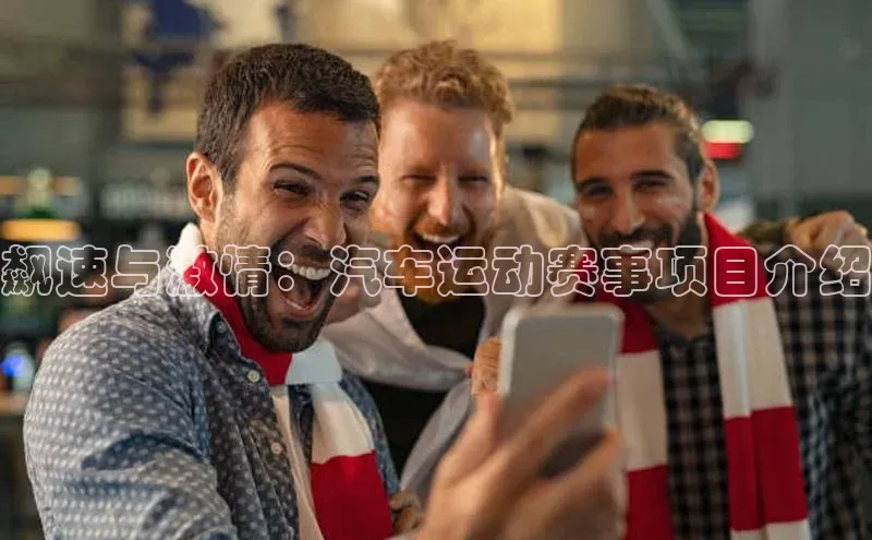 飙速与激情：汽车运动赛事项目介绍