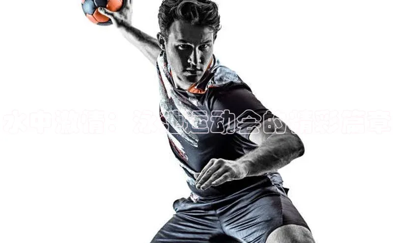 水中激情：泳池运动会的精彩篇章