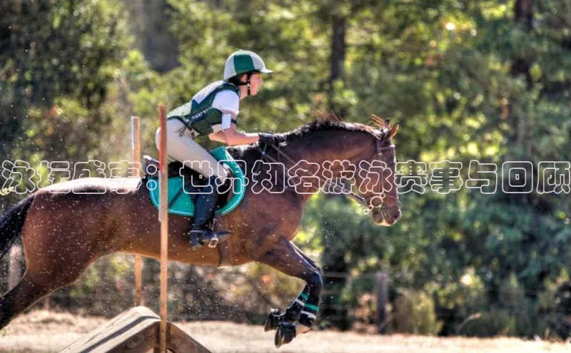 泳坛盛事：世界知名游泳赛事与回顾